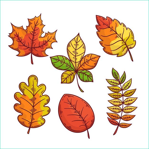 dessin collection feuilles automne
