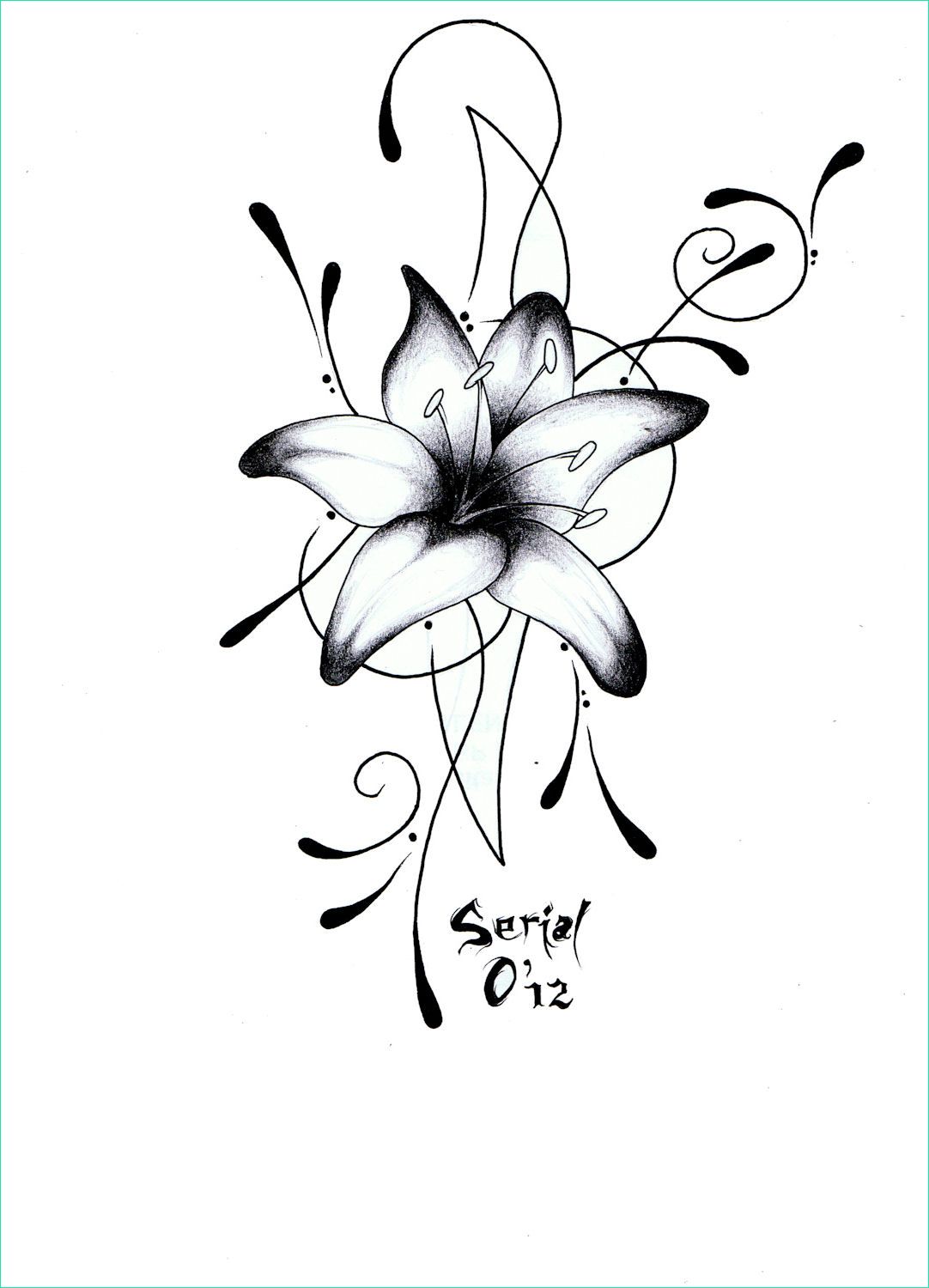 dessins fleur bestof image 90 nouveau graphie de fleur de lys dessin noir et