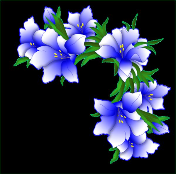 fleurs bleues dessin