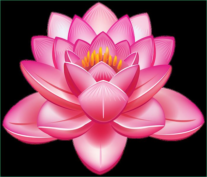 fleur de lotus dessin