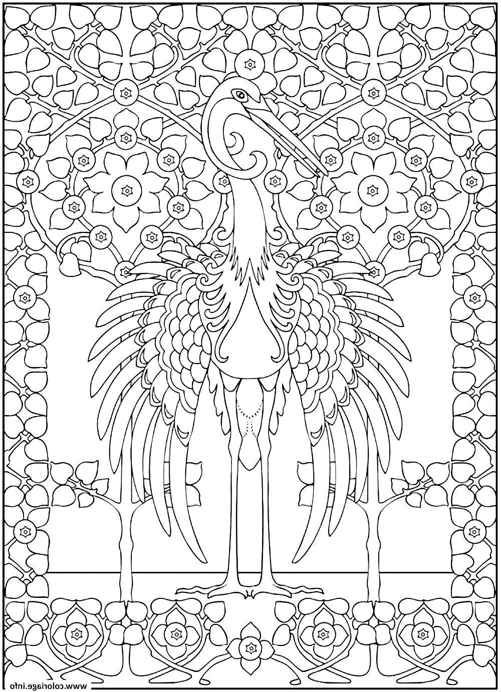 adulte grand heron majestueux coloriage dessin
