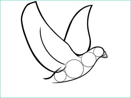dessin facile oiseaux