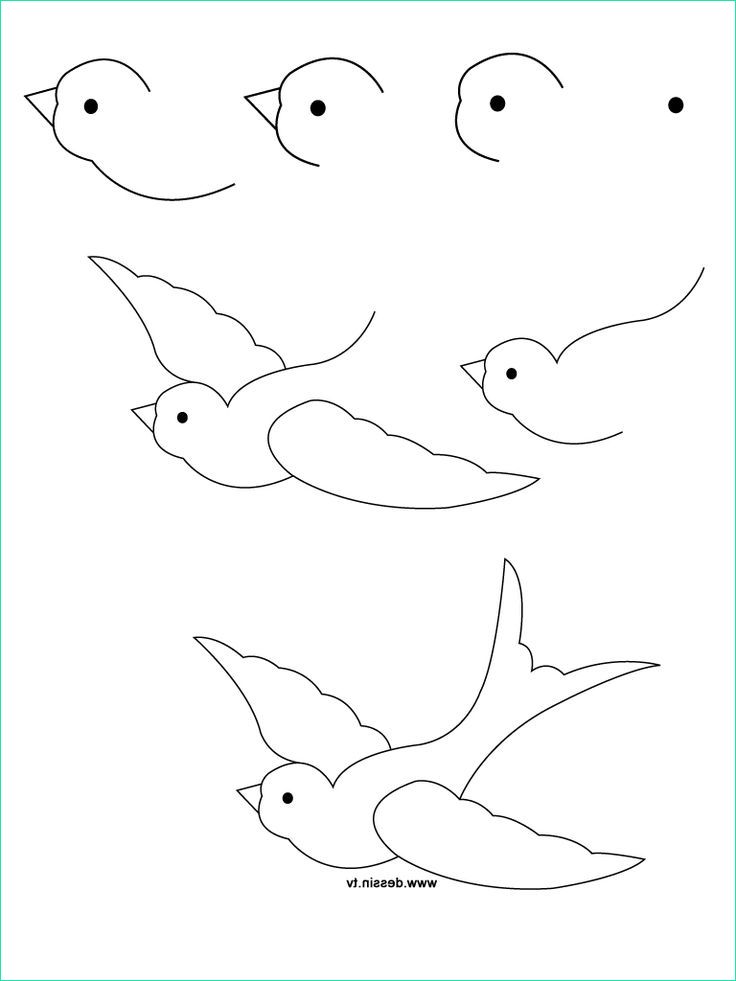 dessin oiseau facile
