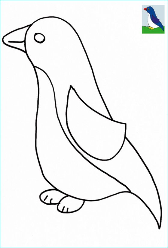 dessin facile a reproduire oiseaux