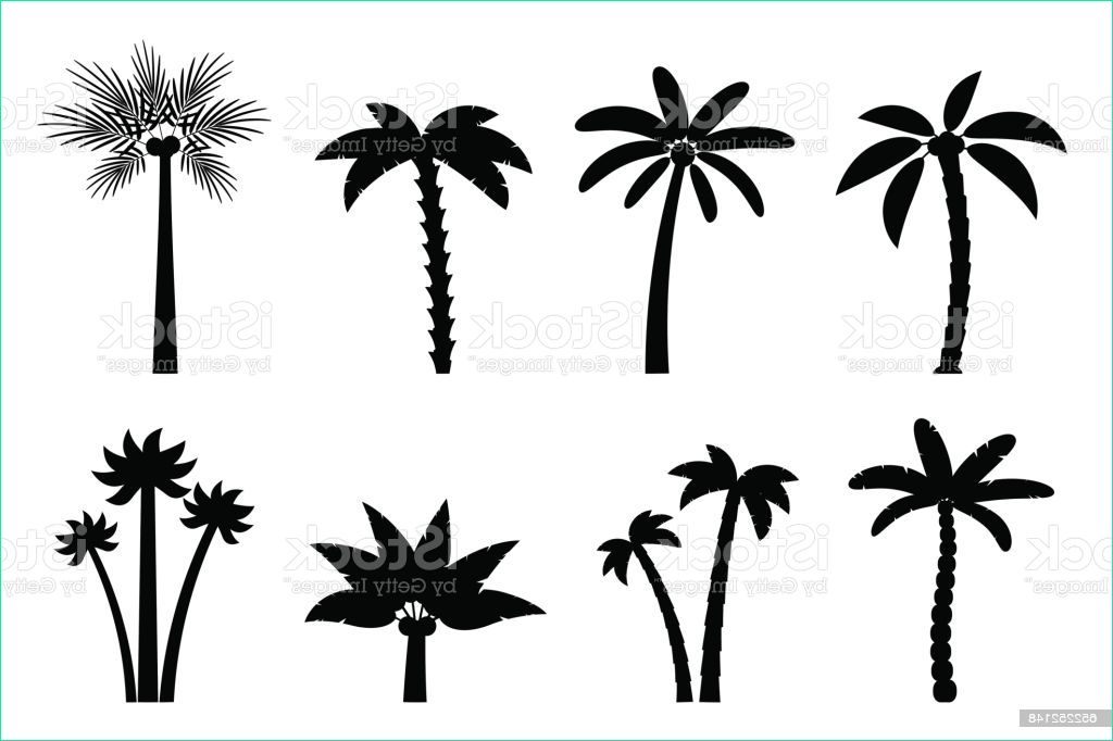 ensemble de vecteurs de palmiers simple gm