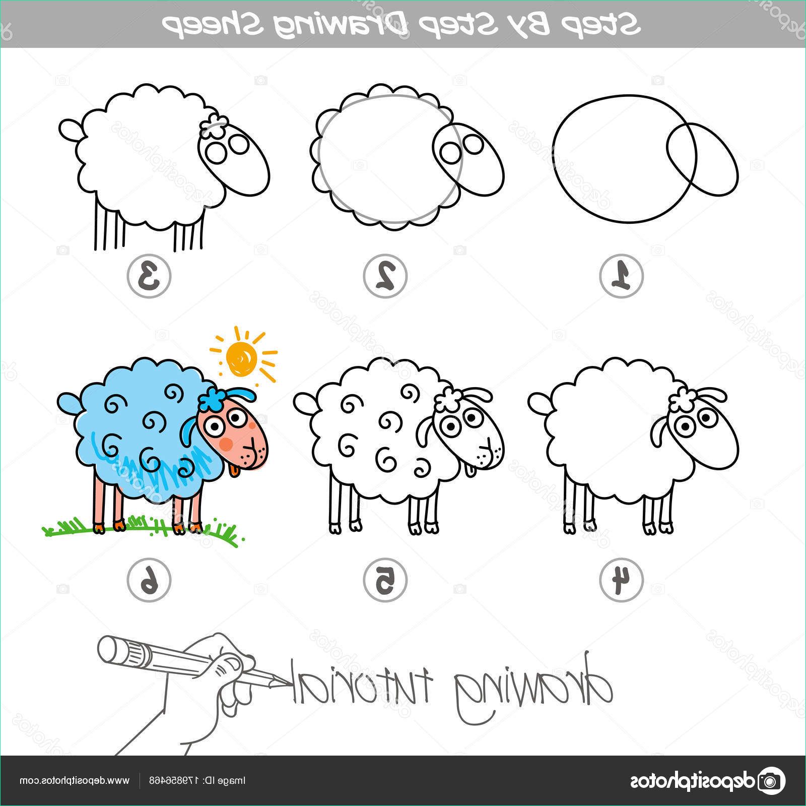 stock illustration step by step drawing sheep