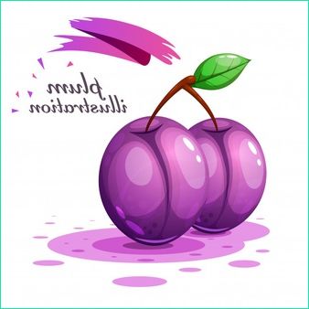 prune illustration pomona italiana