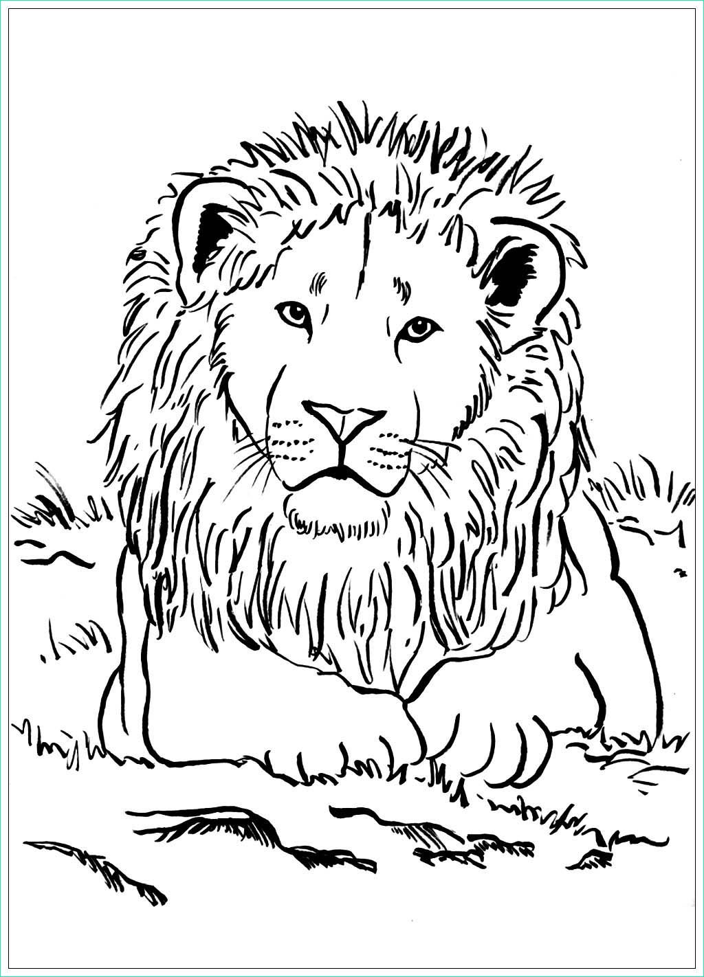 Dessin Savane Cool Photos Lion Majestueux Lions Coloriages Difficiles 