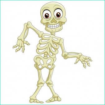 squelette humain drole bande dessinee