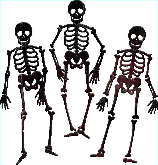 squelettes png dessin tube halloween skeletons png