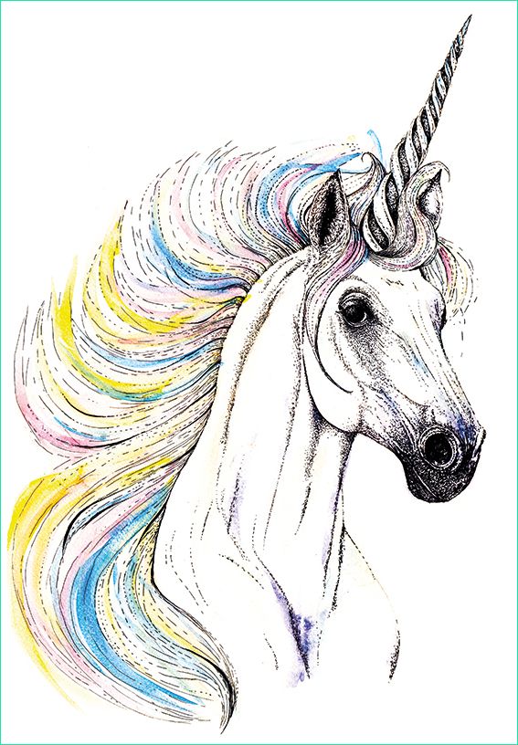 drawing of the week a rainbow unicorn