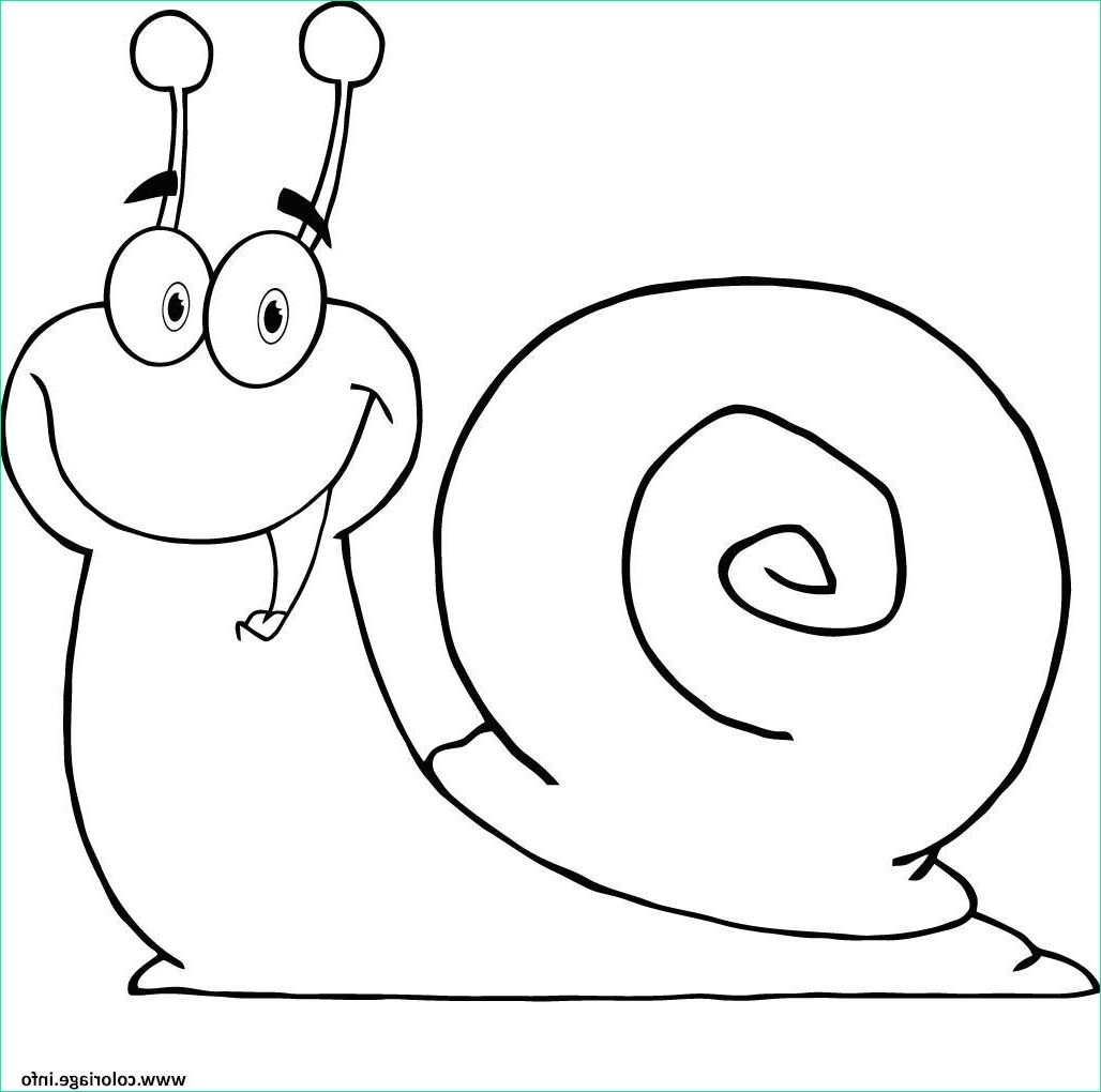 escargot joyeux et heurex coloriage dessin