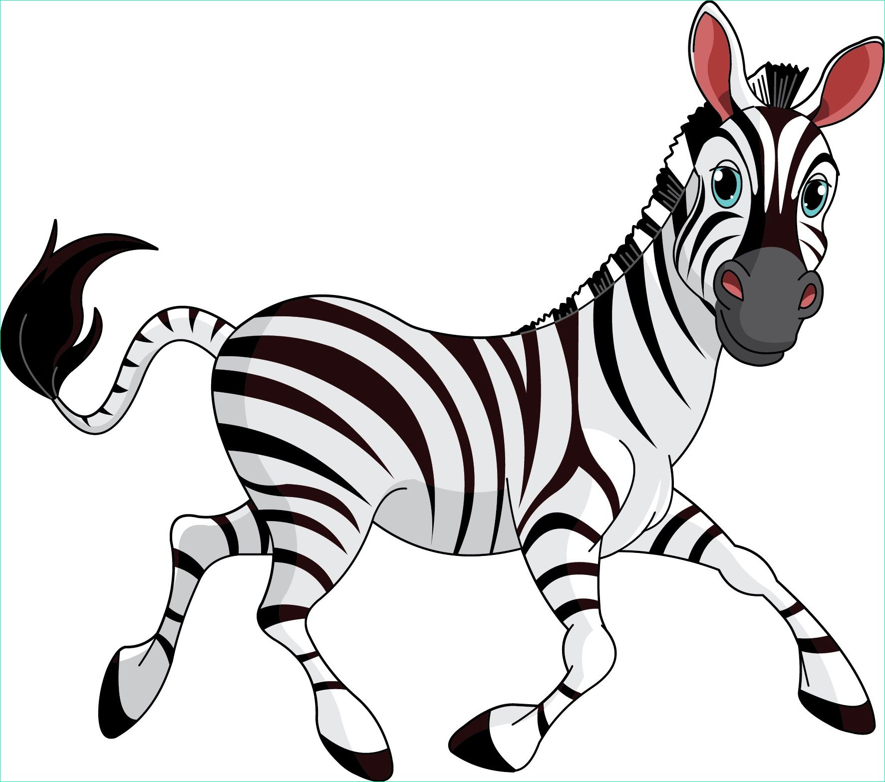 coloriage zebre
