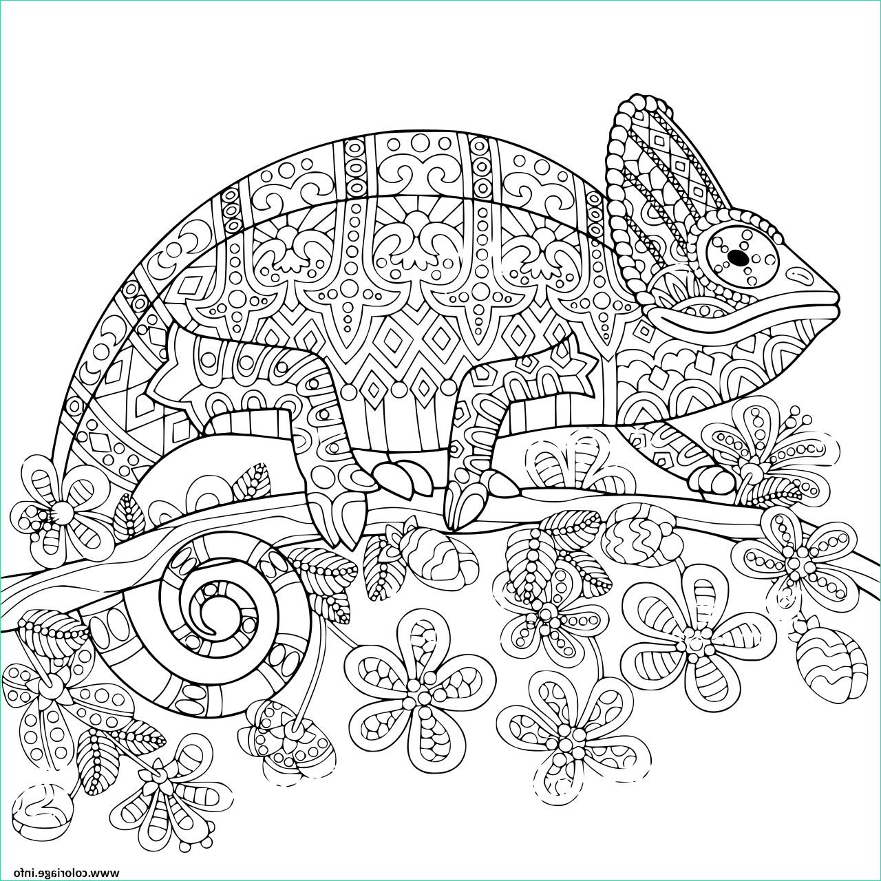 cameleon mandala coloriage dessin