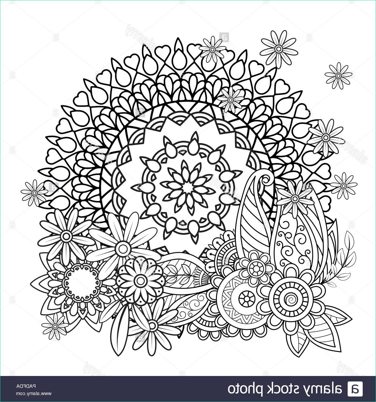 motif floral mandala en noir et blanc livre de coloriage adultes page avec des fleurs et des mandalas motif oriental affiche des elements decoratifs hand drawn vector illustration image