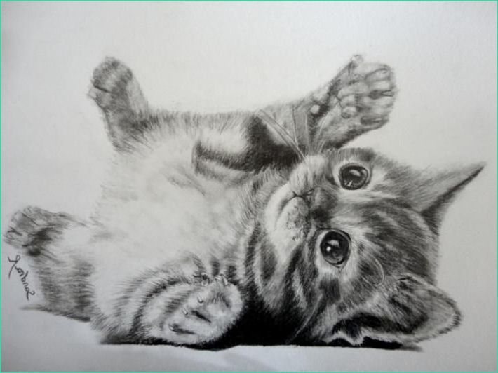 chaton avec images dessin chaton dessin animaux mignons dedans dessin de petit chat