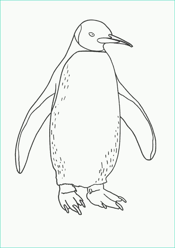 dessin pingouins de madagascar