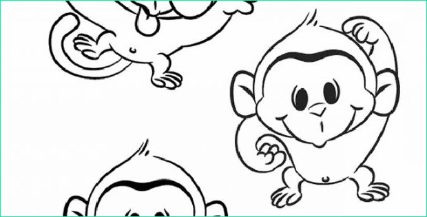singe dessin facile beau photographie singe 13 coloriage de singes coloriages pour enfants