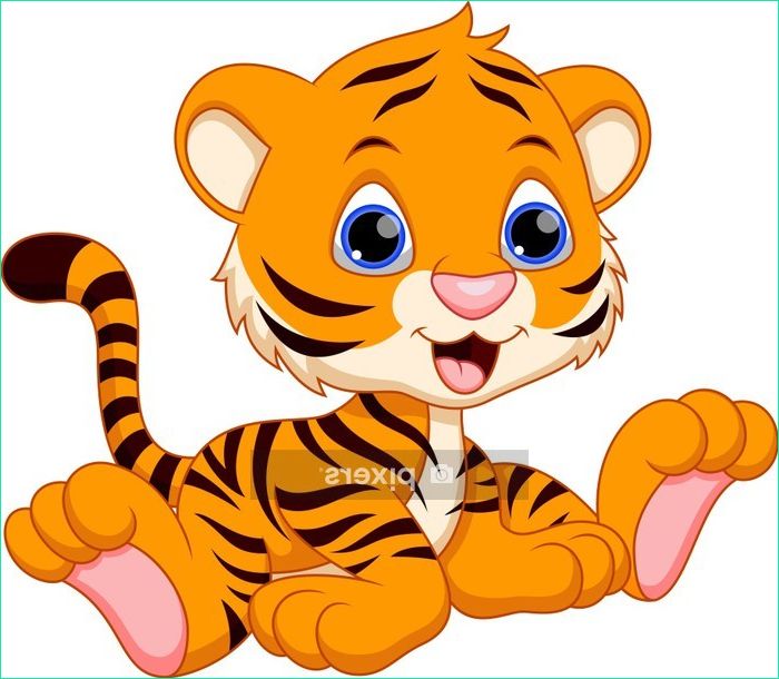 cute baby tigre cartoon