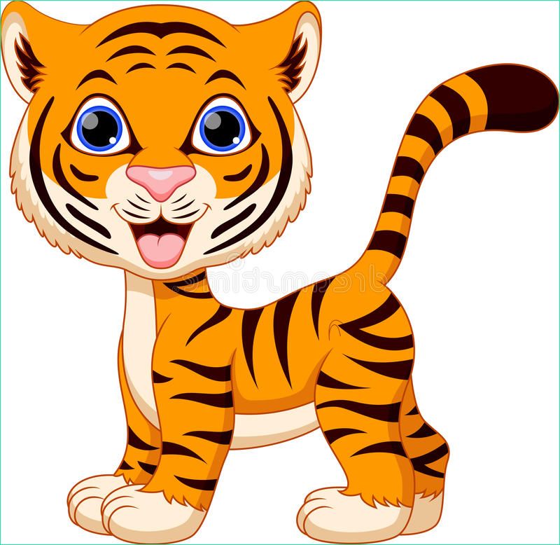 stock illustration cute tiger cartoon white background image