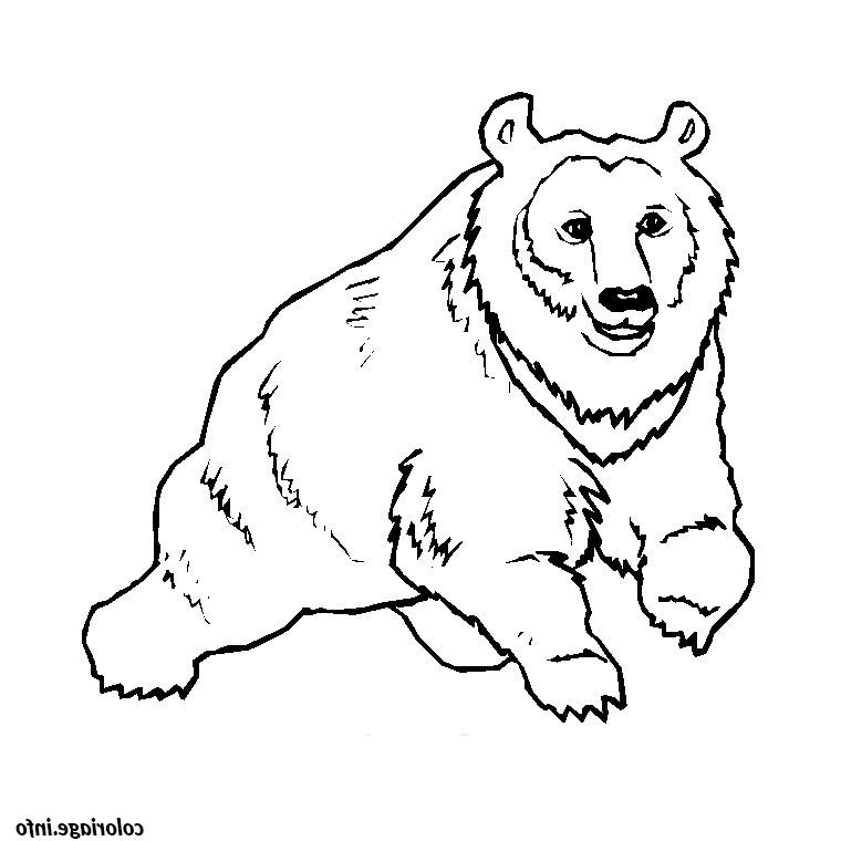 animaux sauvages coloriage 57