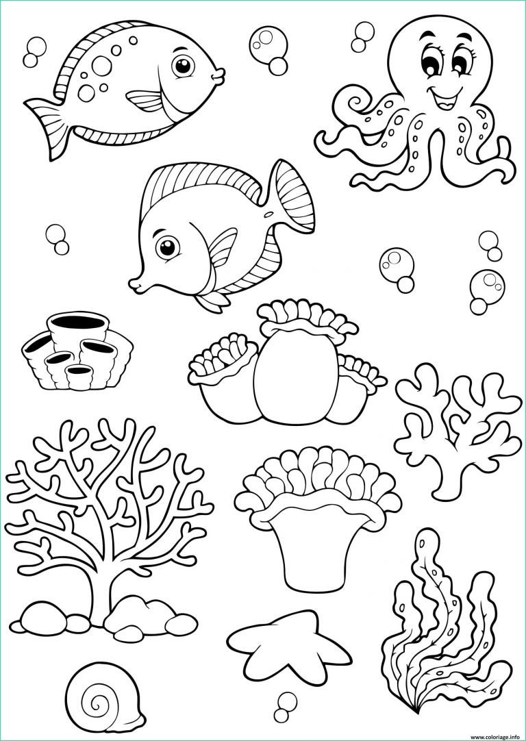 dessin la mer elegant galerie coloriage animaux de la mer ocean poissons enfants dessin