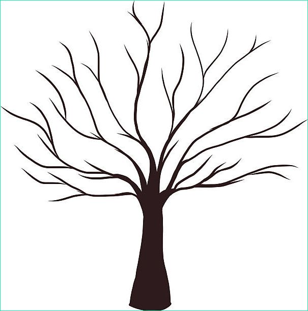 arbre sans feuillage