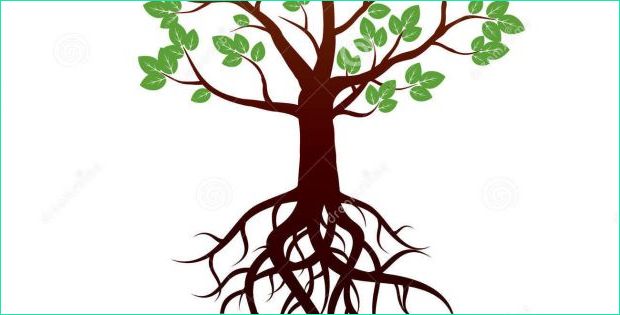arbre dessin sans feuille avec racines nouveau image arbre et racines illustration de vecteur illustration
