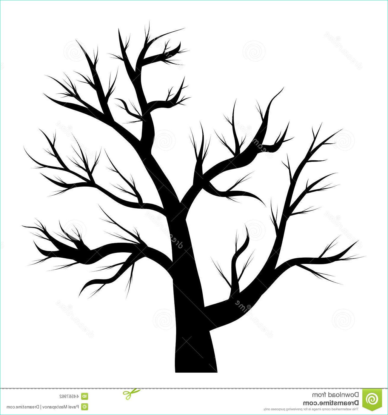 illustration stock arbre sans feuilles image