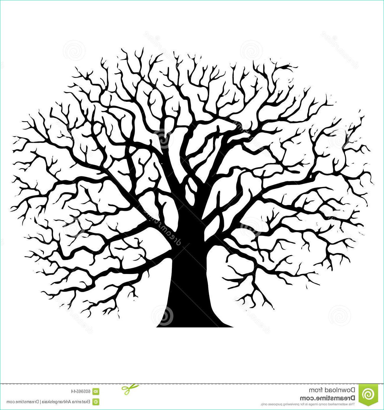 illustration stock arbre sans silhouette de feuilles image