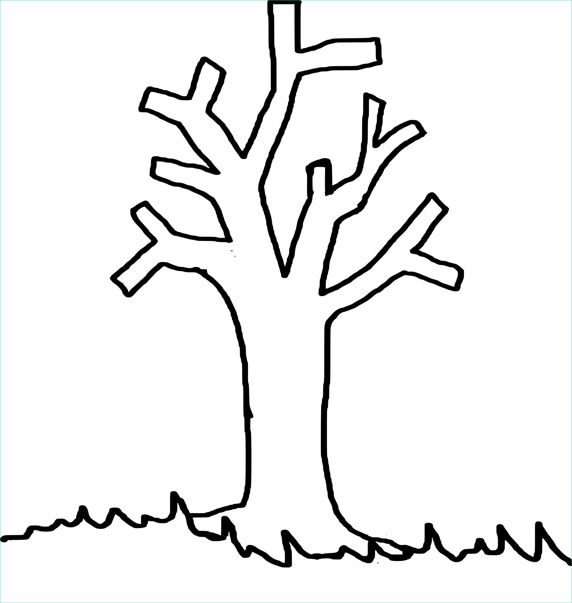 coloriage arbre sans feuille 6