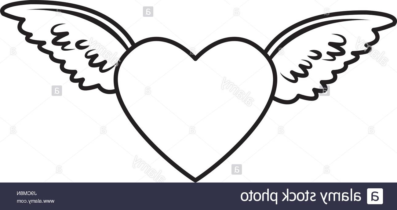 photo image coeur rouge avec des ailes dange en plumes decoration romantique