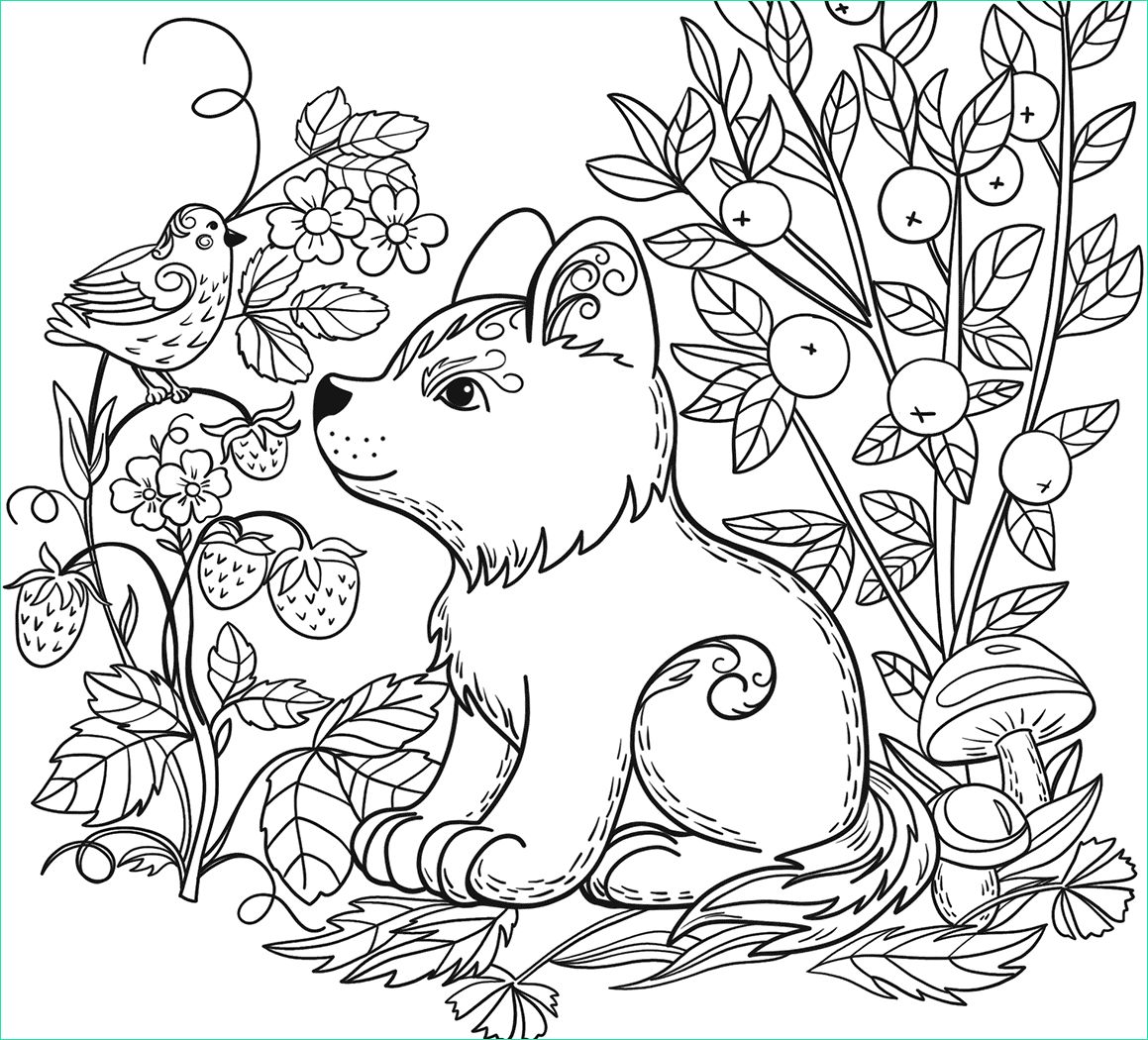 free wild animal coloring pages