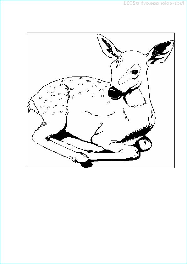 coloriage animaux zoo 14