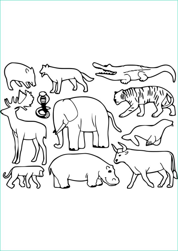 coloriage animaux pdf