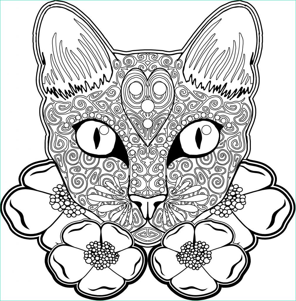 coloriage mandala chat nouveau collection epingle par magali caron sur coloriage mandala chat