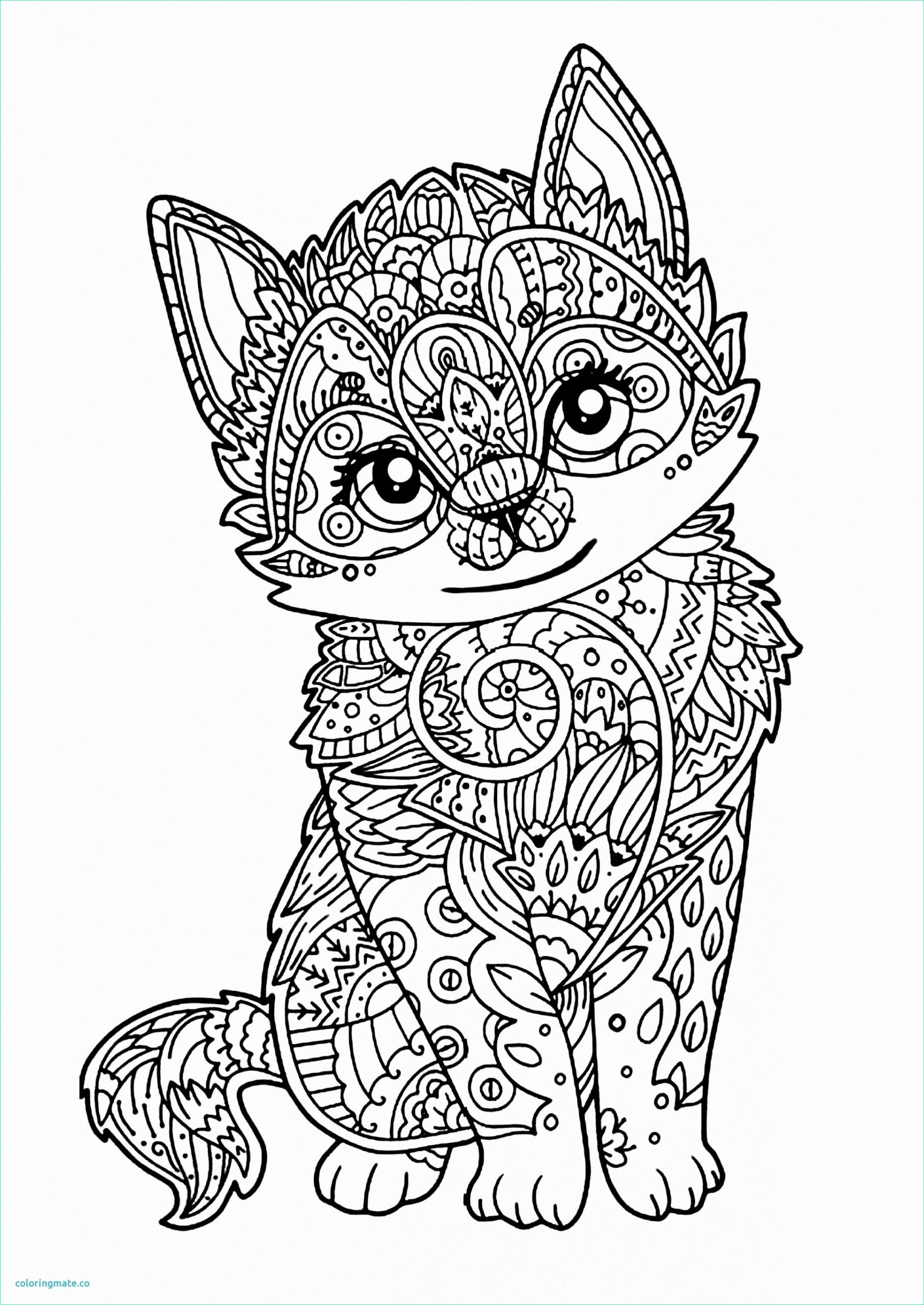 12 meilleur de dessin chat mandala images