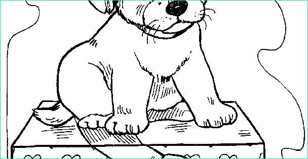 chien et chat dessin inspirant photos coloriage chien sur un cadeau dessin gratuit a imprimer