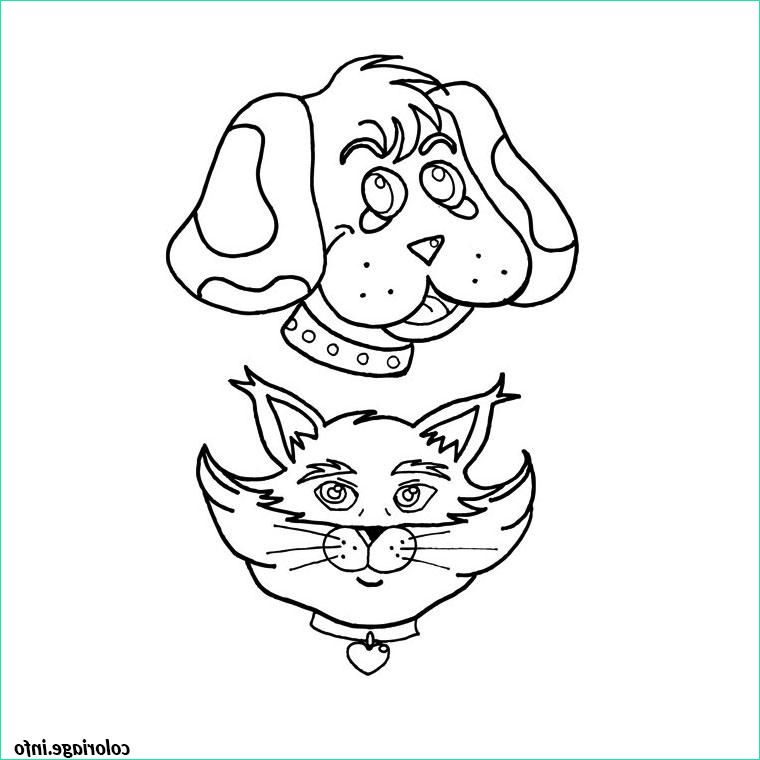 chat chien coloriage dessin 2185