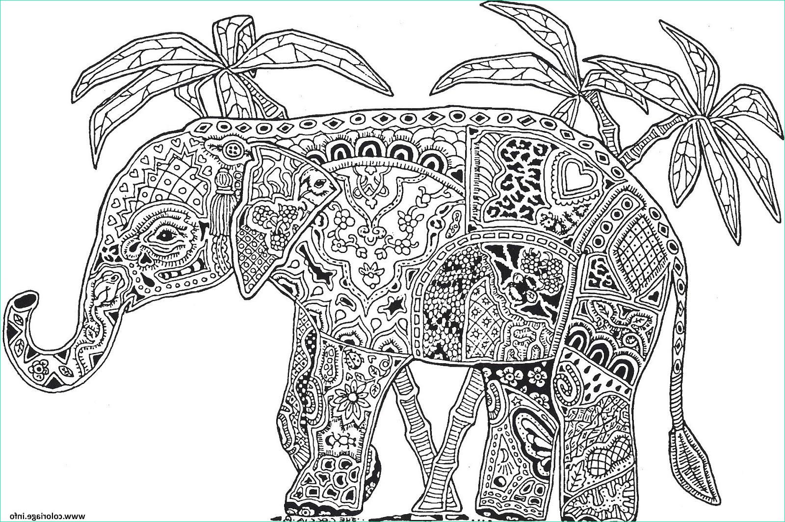 adulte animaux elephant difficile coloriage