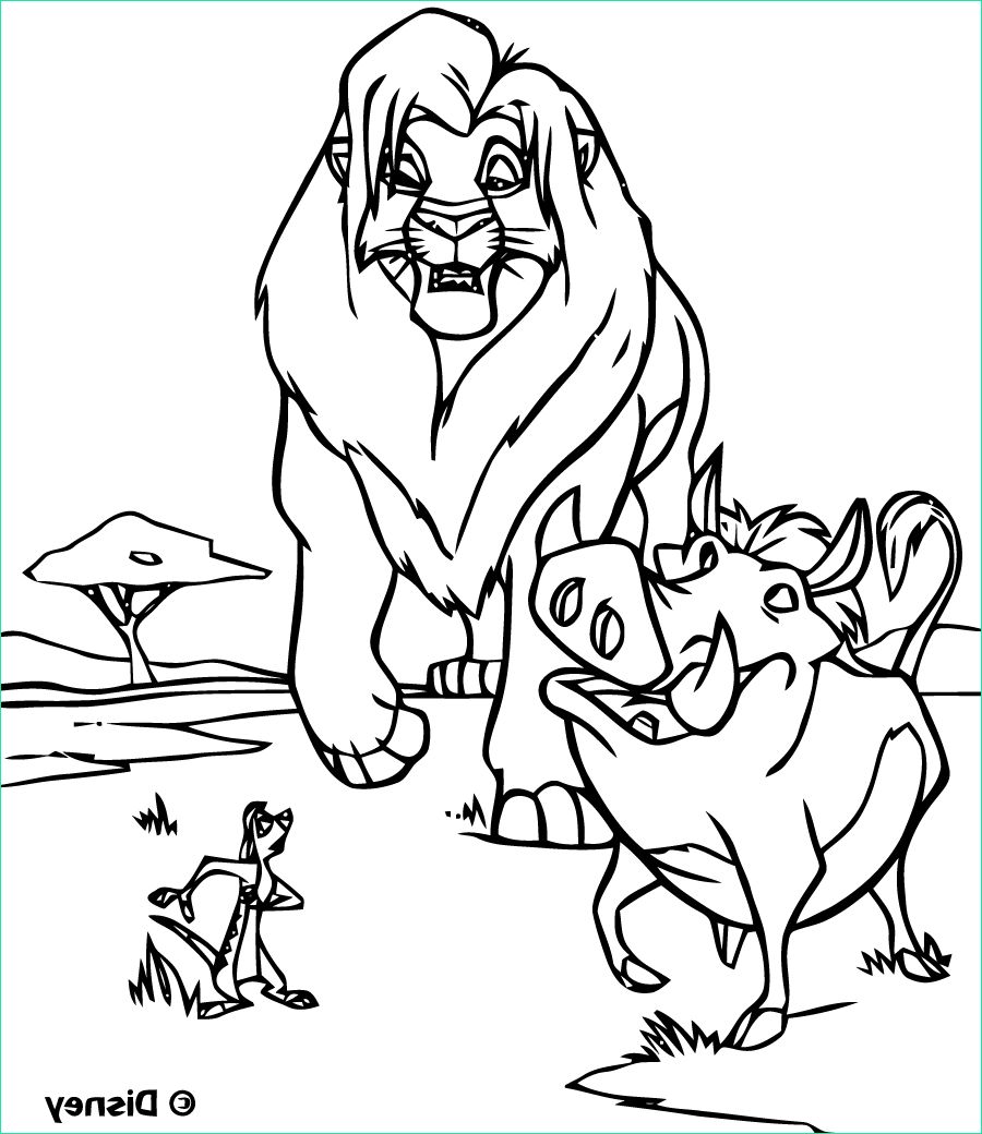 image=le roi lion coloriage le roi lion 3 2