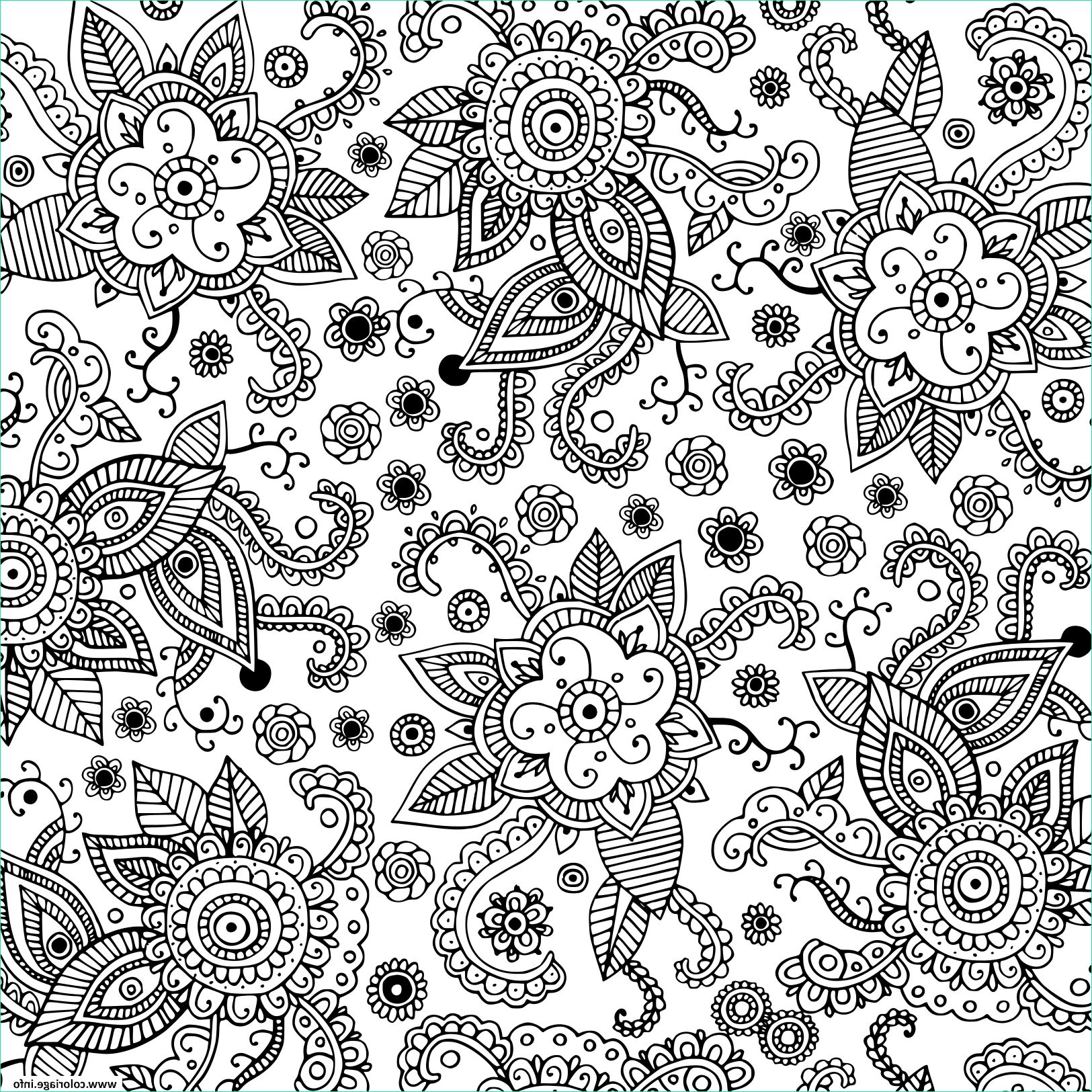 fleurs nature adultes doodle art graphique coloriage