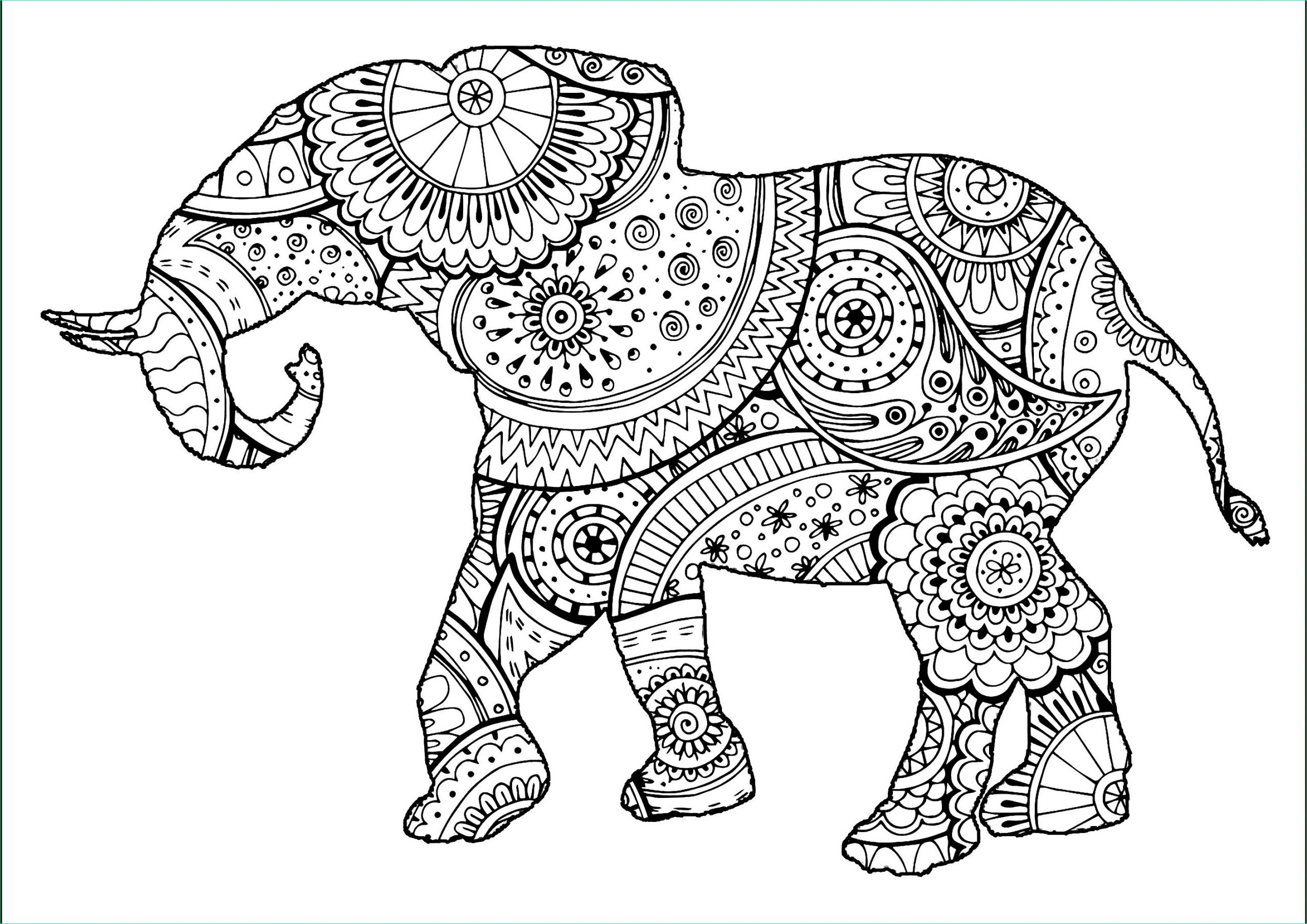 image=elephants coloriage elephant avec zentangle paisley motifs 1