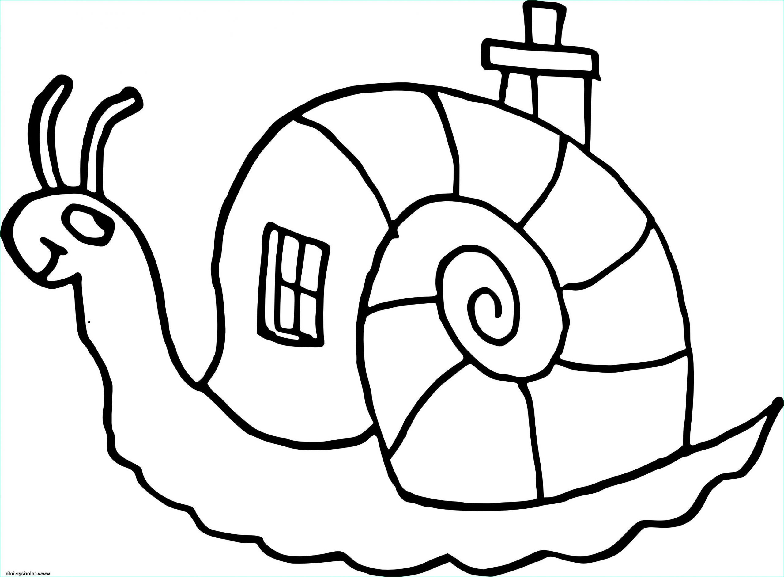 escargot maison coloriage