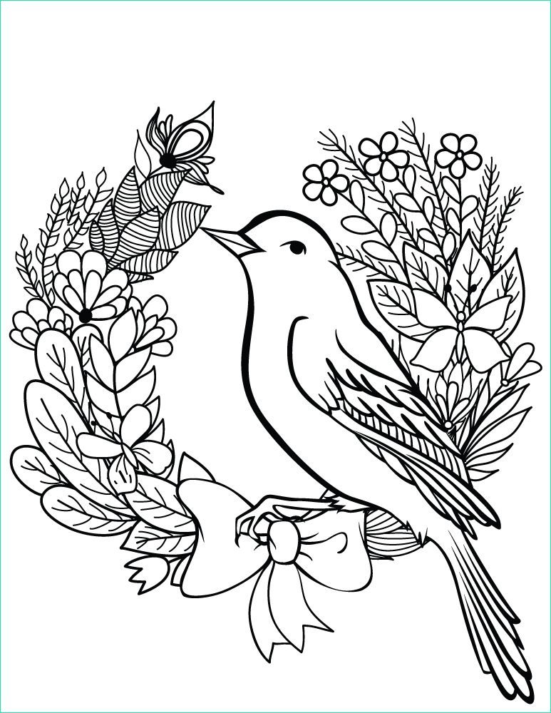 oiseau printemps dessin a colorier gratuit