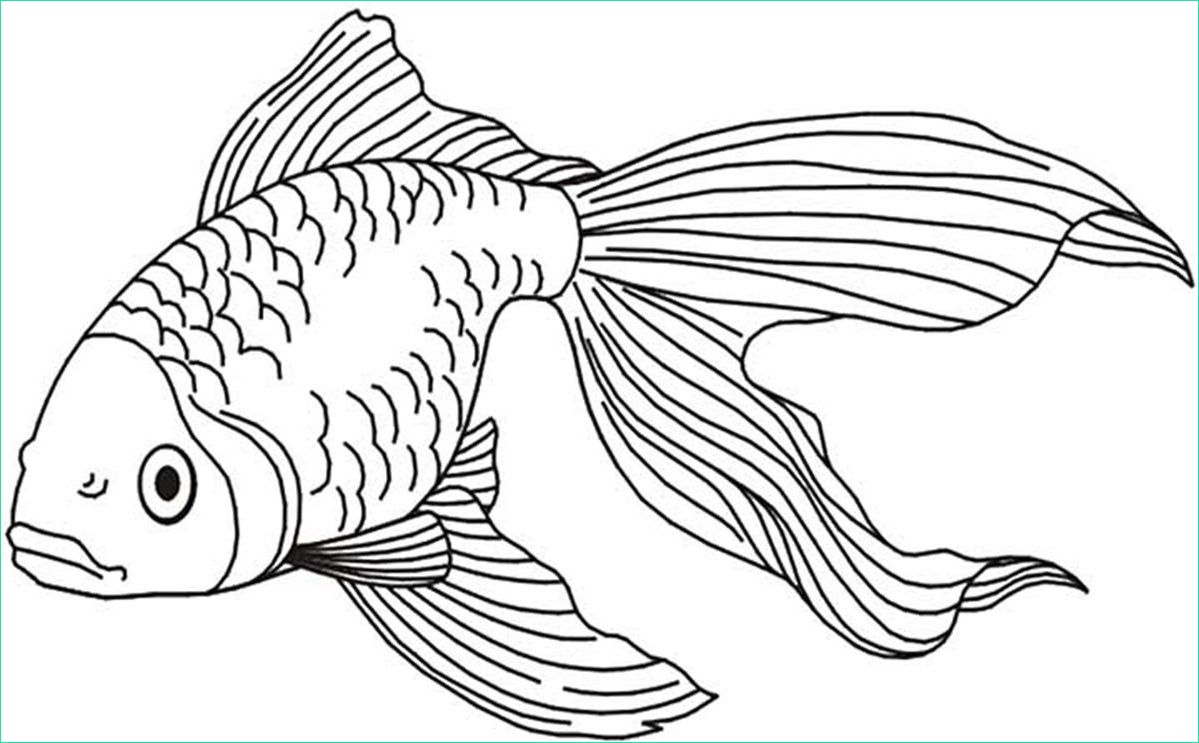 top22 dessins de poissons dessin