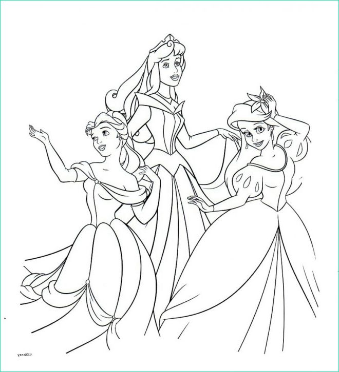 princesse ariel animation