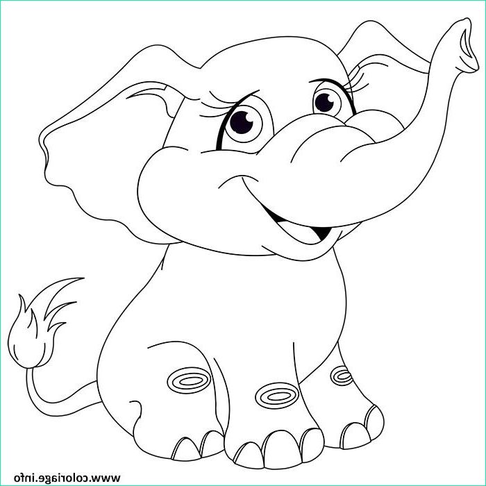 animaux mignon elephanteau bebe elephant coloriage dessin
