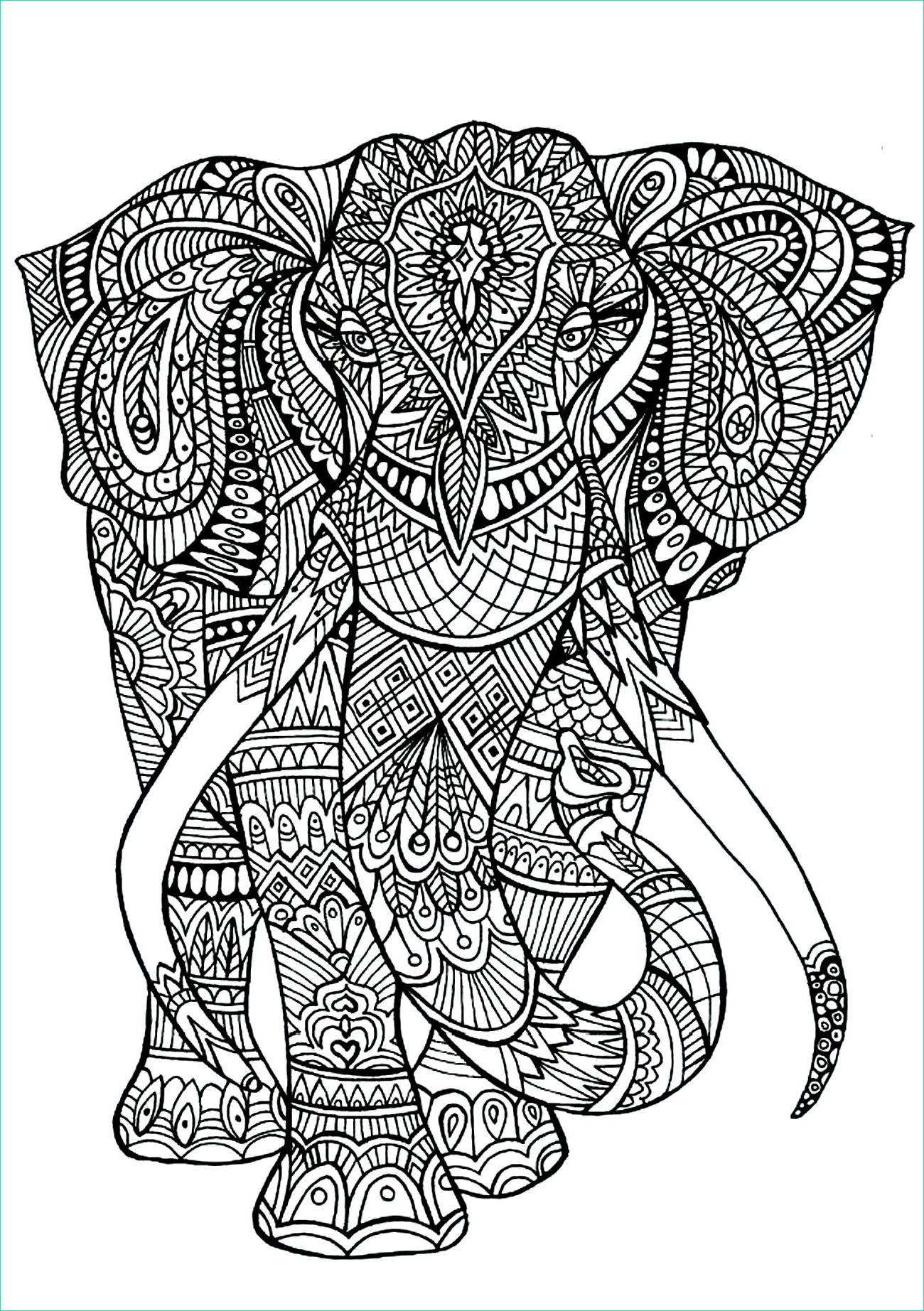 image=elephants coloriage adulte anima gros elephant 1