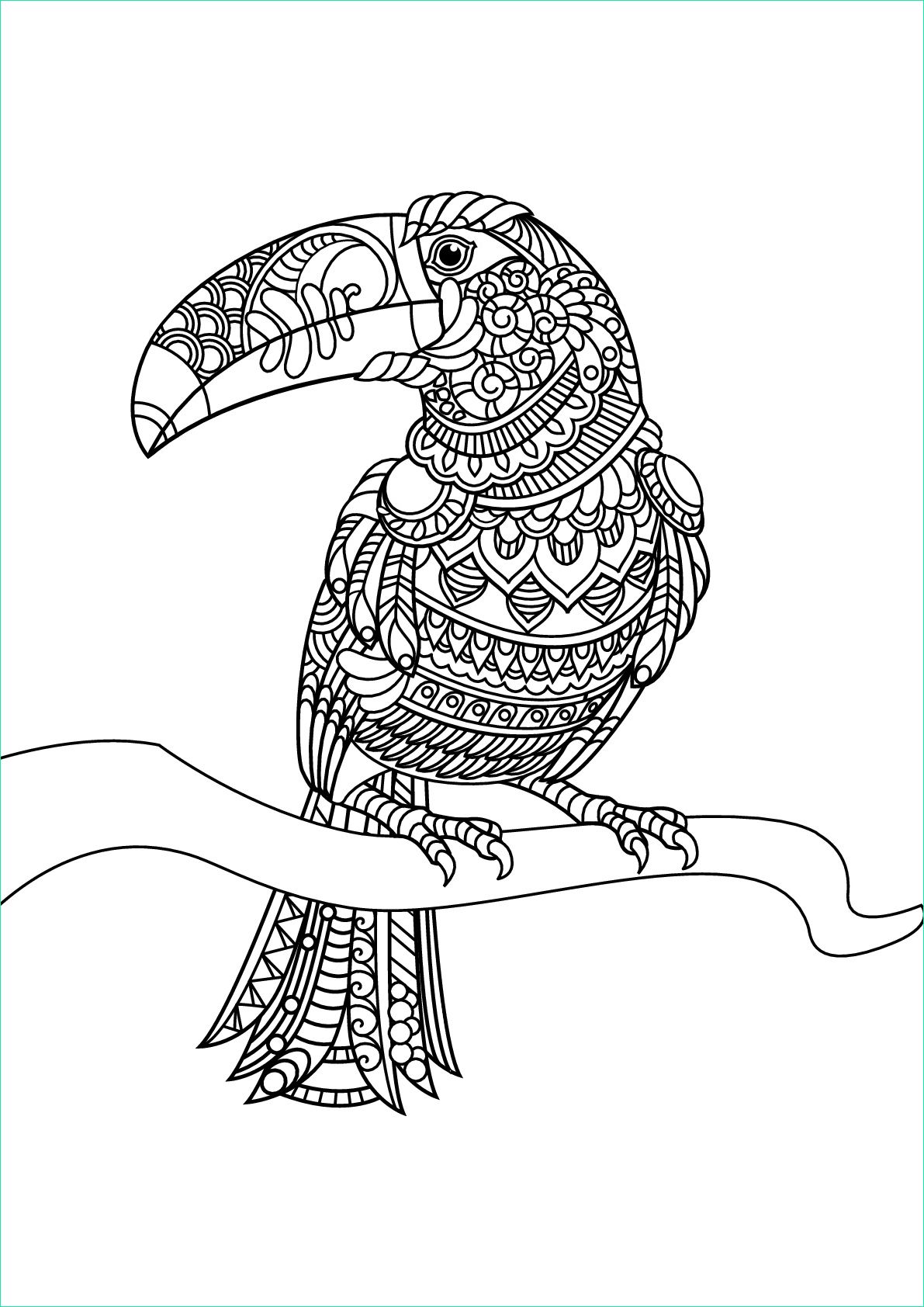 image=oiseaux coloriage livre gratuit toucan 1
